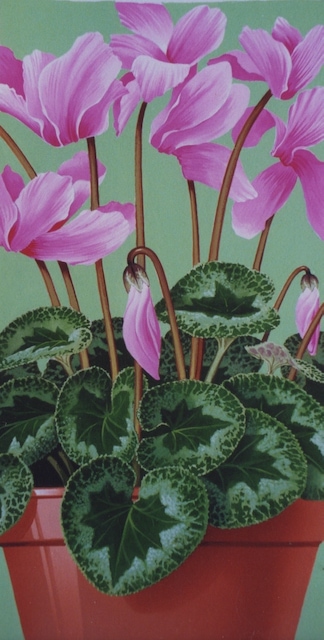 potted-plant